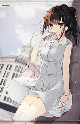 中古】同人ポスター・タペストリー・カレンダー系 【オリジナル