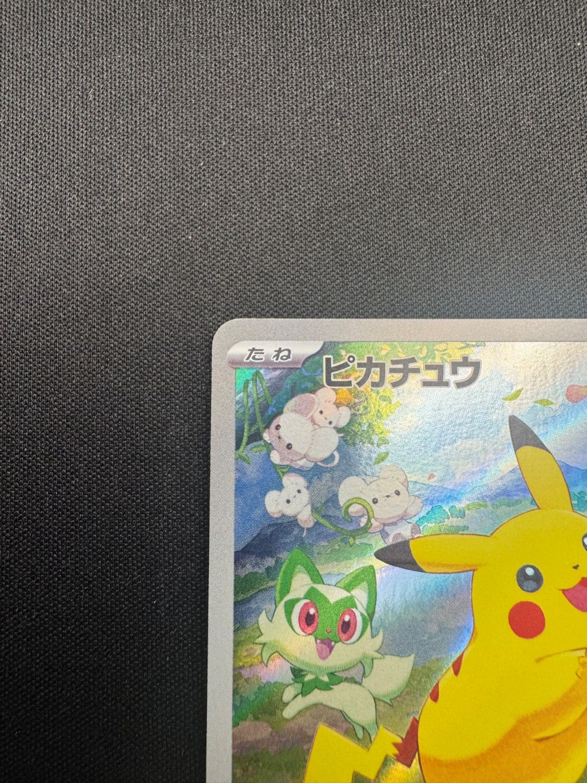 ピカチュウ ポケカの夏がキタ！プロモカードGetキャンペーン！ プロモ