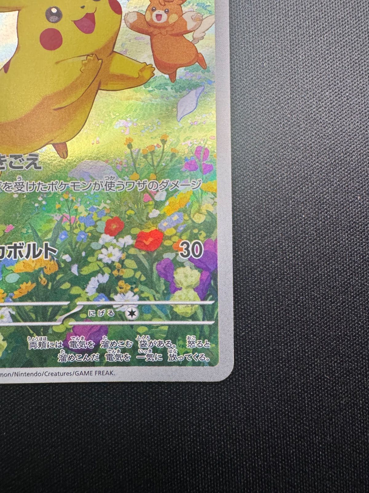 ピカチュウ ポケカの夏がキタ！プロモカードGetキャンペーン！ プロモ