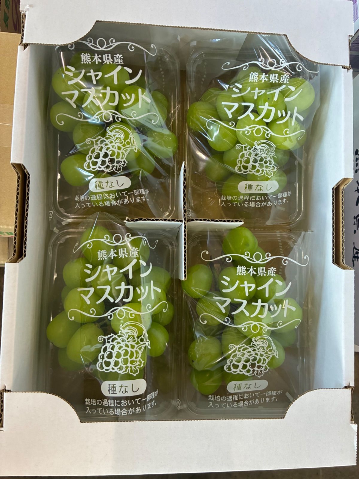 熊本県産シャインマスカット 4パック｜新品・未使用 - メルカリ