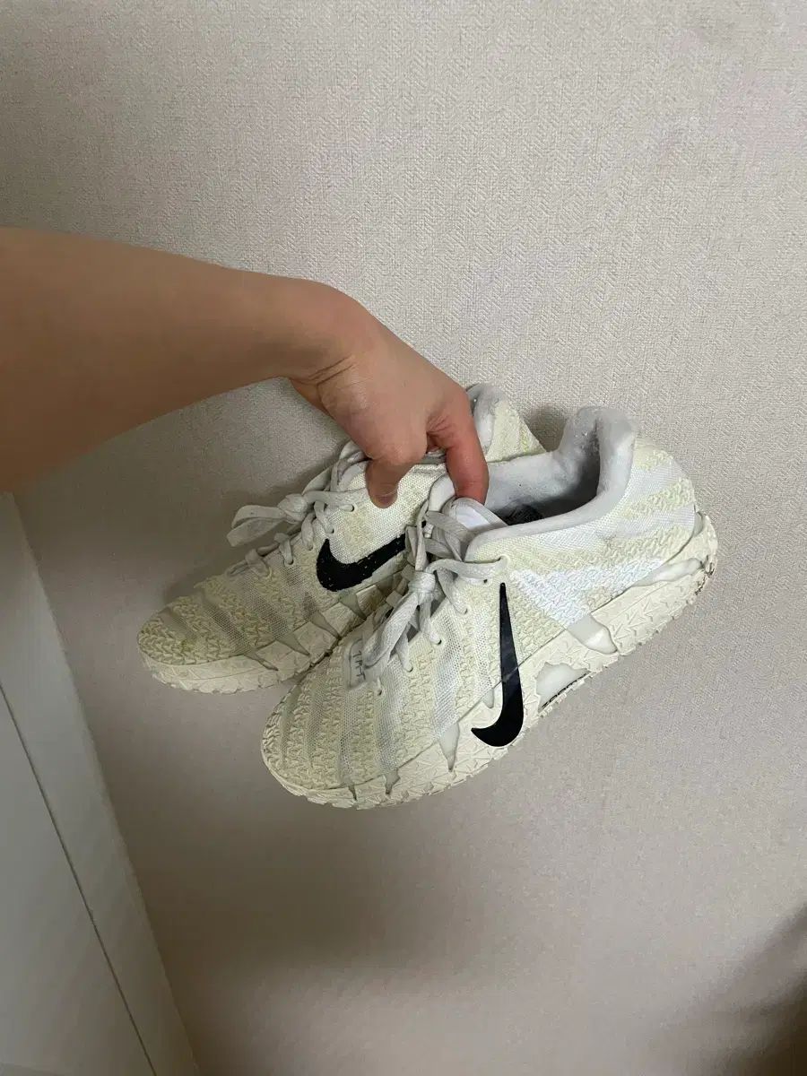 265 자3