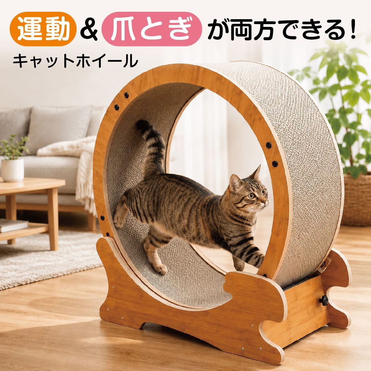 キャットホイール 爪とぎ ルームランナー 猫 子猫 ランニングホイール
