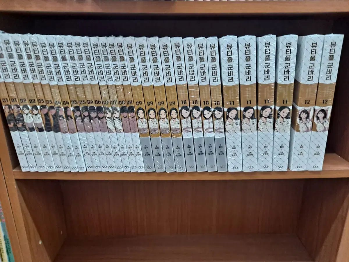 ビューティーフル 兵隊 1 - 12 未開封 漫画がすごく多い プロ安全店舗