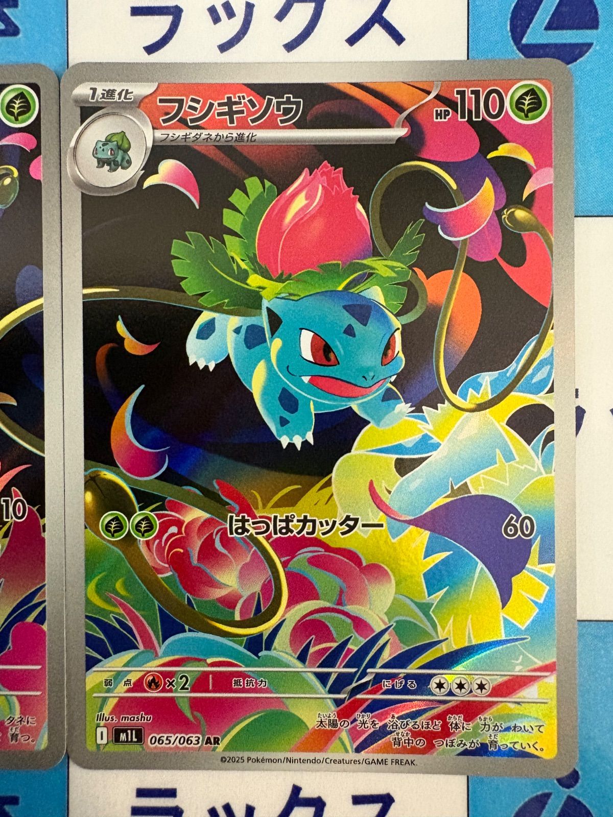 ポケモンカード/ポケカ フシギダネ 064/063 フシギソウ 065/063 AR 2枚