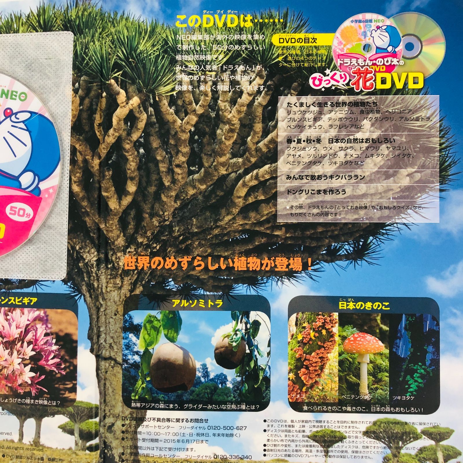 ◇[F]図鑑まとめ売り 13冊 小学館の図鑑NEO DVD4枚付 - メルカリ