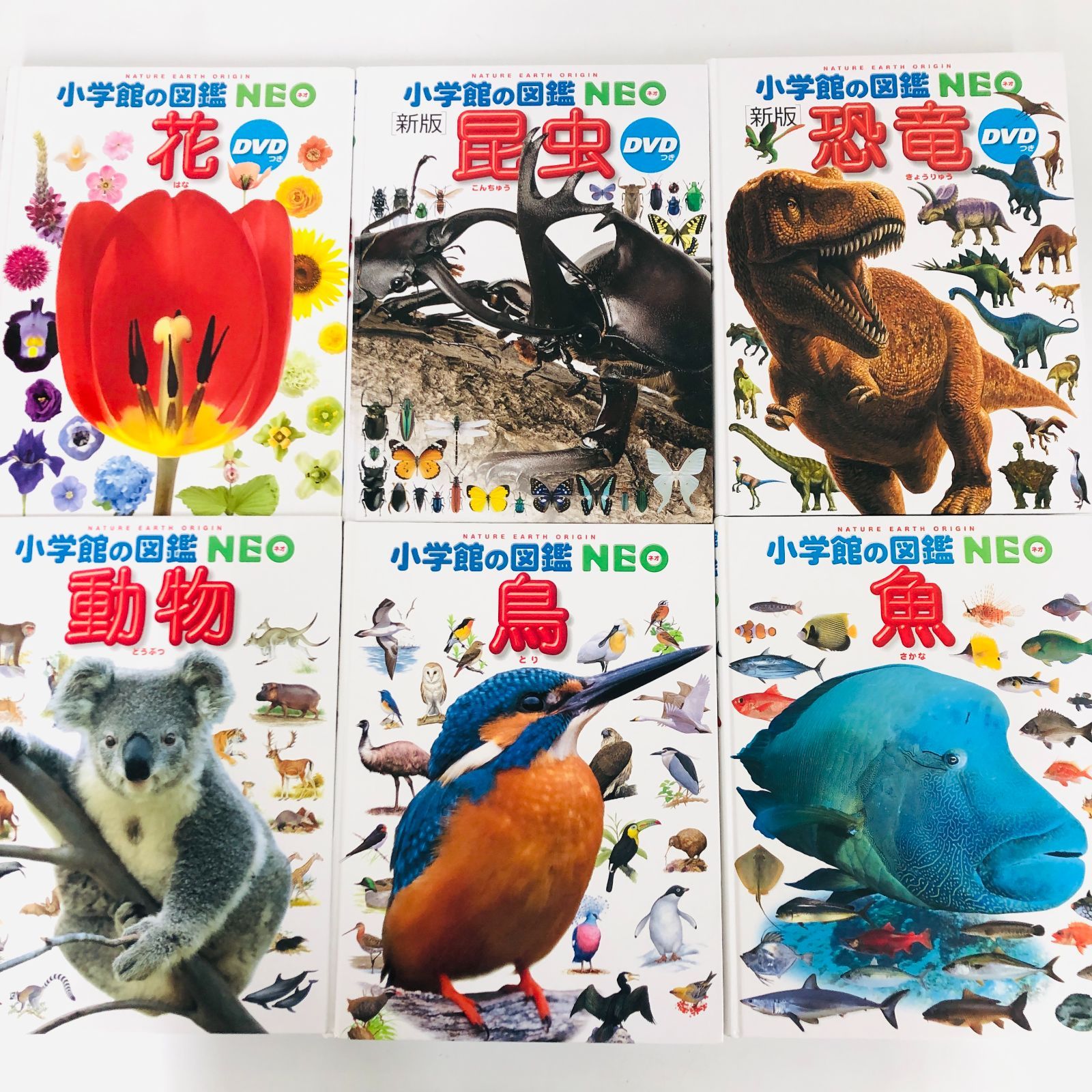 ◇[F]図鑑まとめ売り 13冊 小学館の図鑑NEO DVD4枚付 - メルカリ