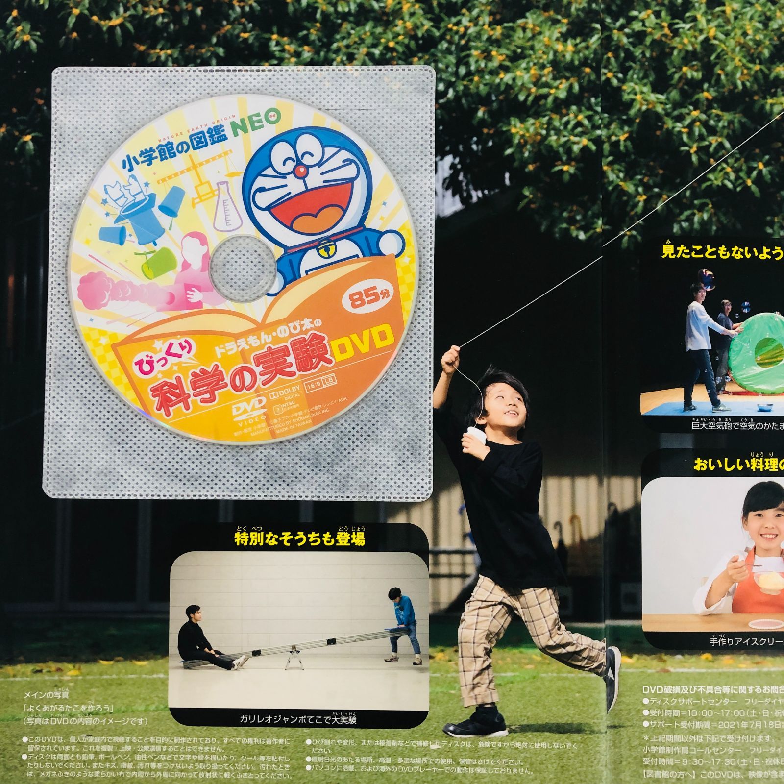 ◇[F]図鑑まとめ売り 13冊 小学館の図鑑NEO DVD4枚付 - メルカリ