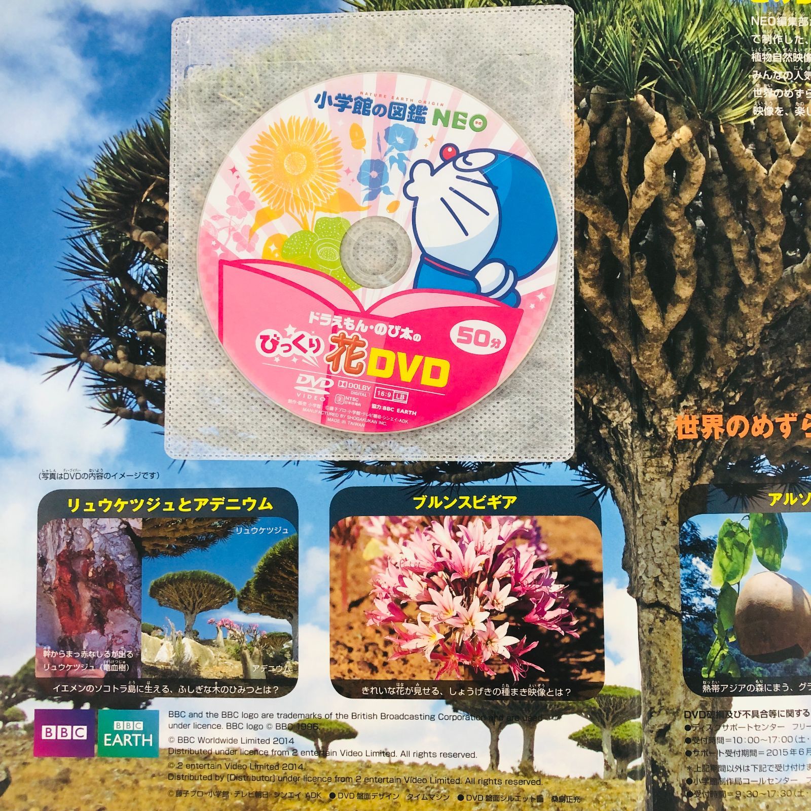 ◇[F]図鑑まとめ売り 13冊 小学館の図鑑NEO DVD4枚付 - メルカリ