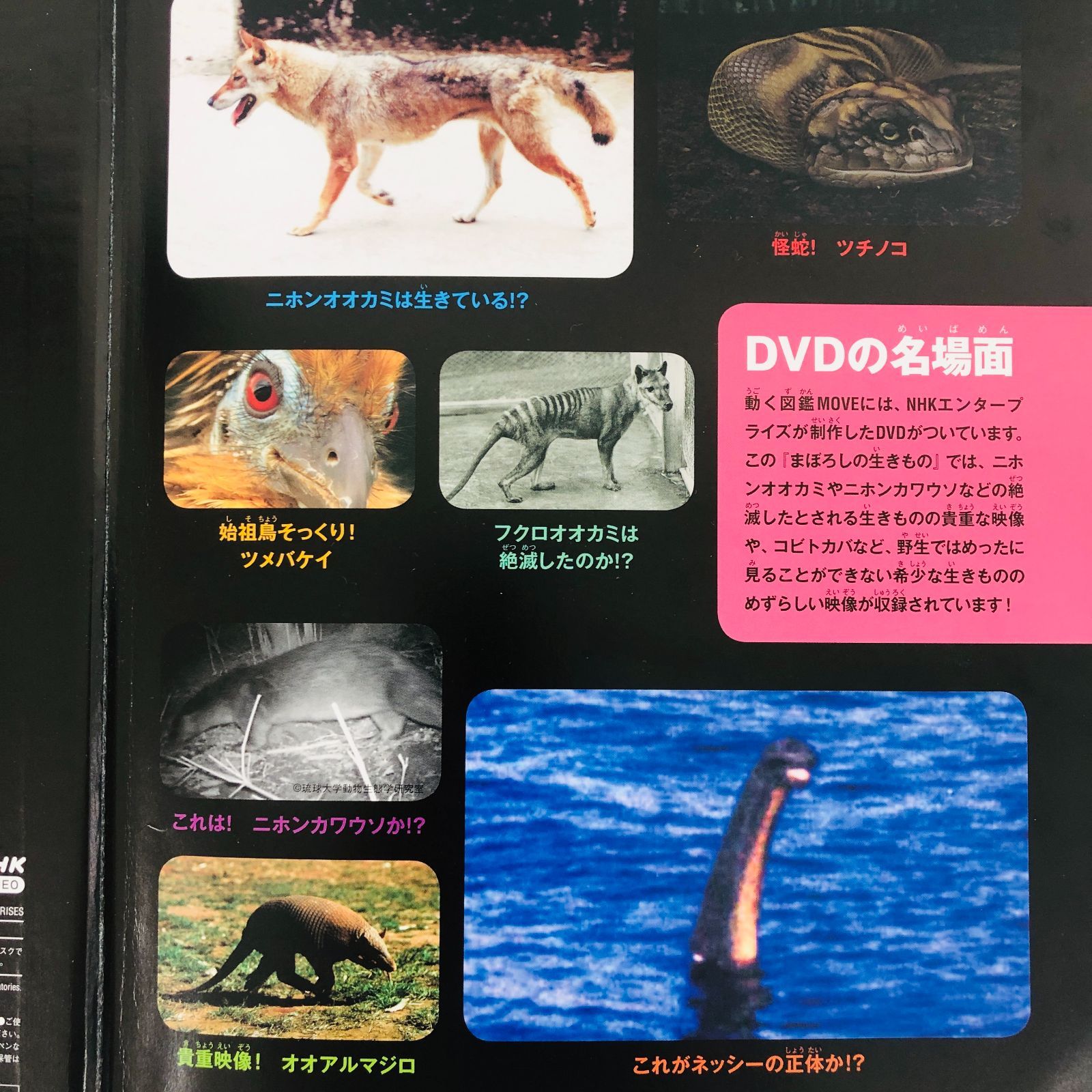 ◇[F]図鑑まとめ売り 12冊 講談社の動く図鑑MOVE DVD9枚付 小学館の