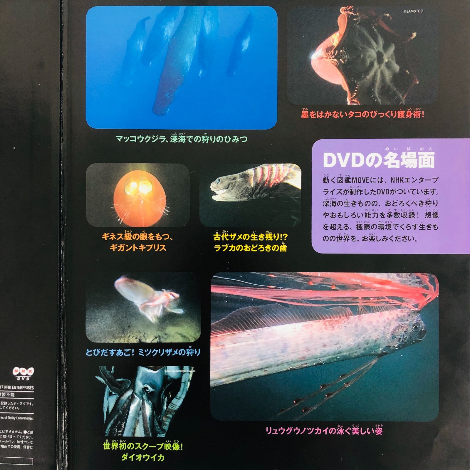 ◇[F]図鑑まとめ売り 12冊 講談社の動く図鑑MOVE DVD9枚付 小学館の