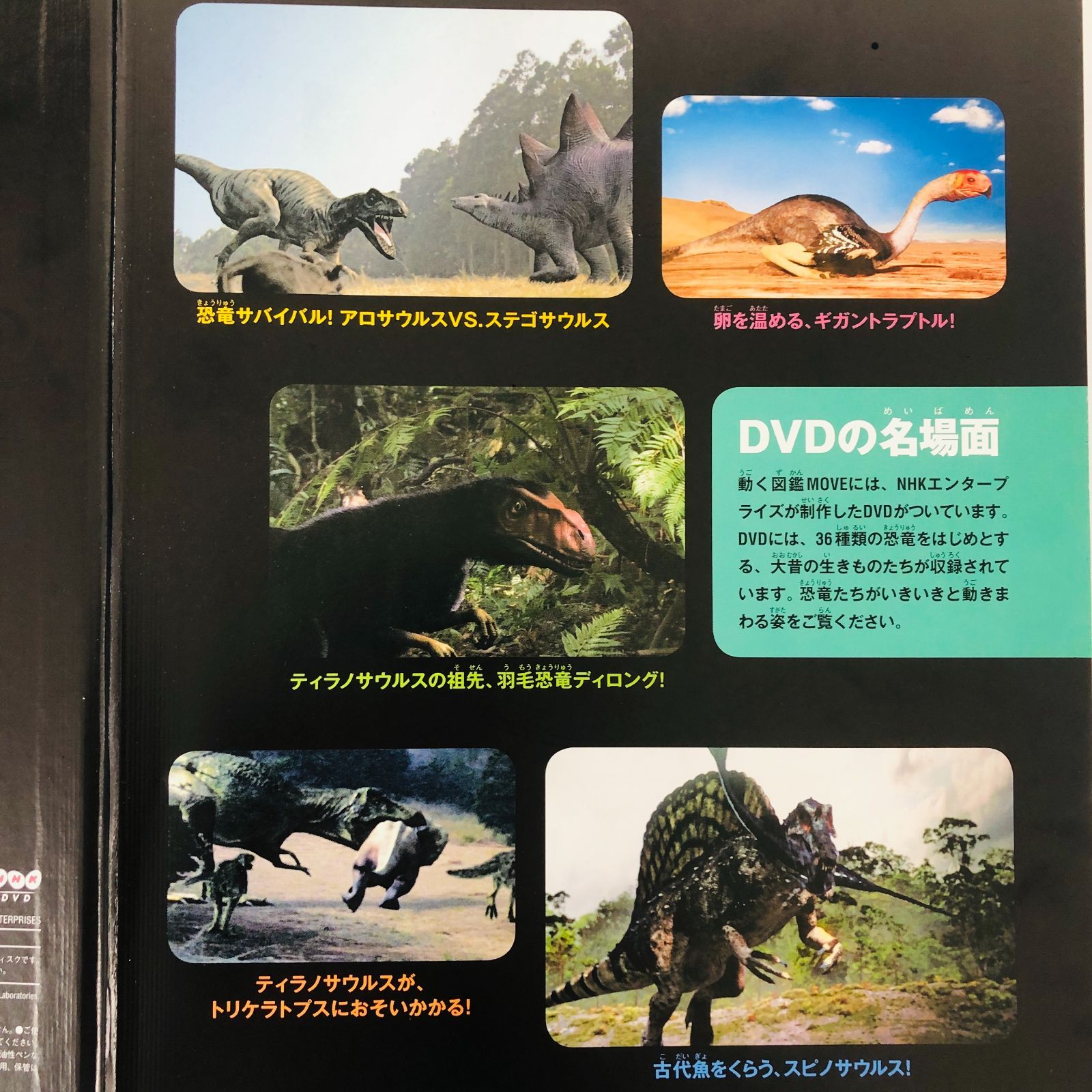 ◇[F]図鑑まとめ売り 12冊 講談社の動く図鑑MOVE DVD9枚付 小学館の