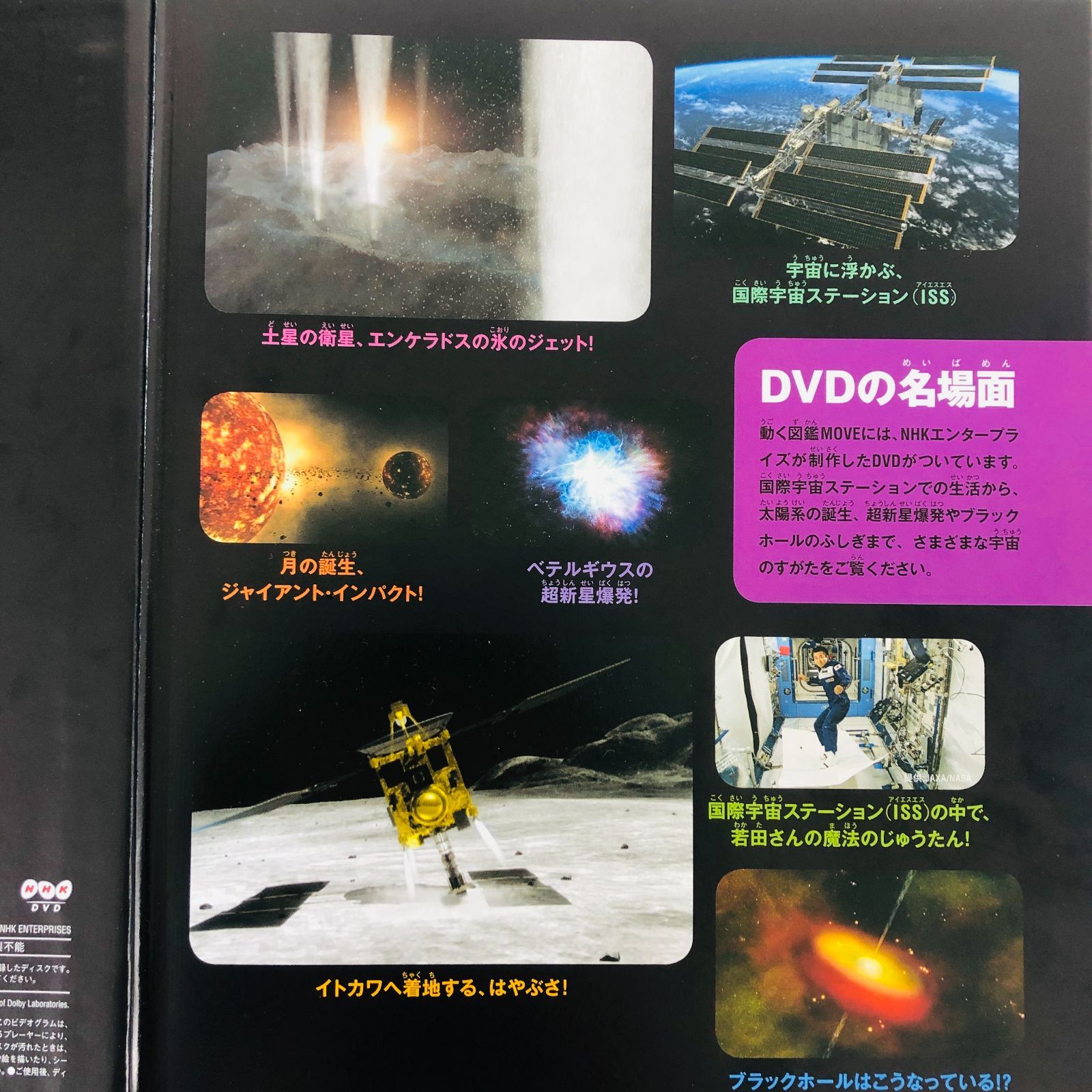 ◇[F]図鑑まとめ売り 12冊 講談社の動く図鑑MOVE DVD9枚付 小学館の