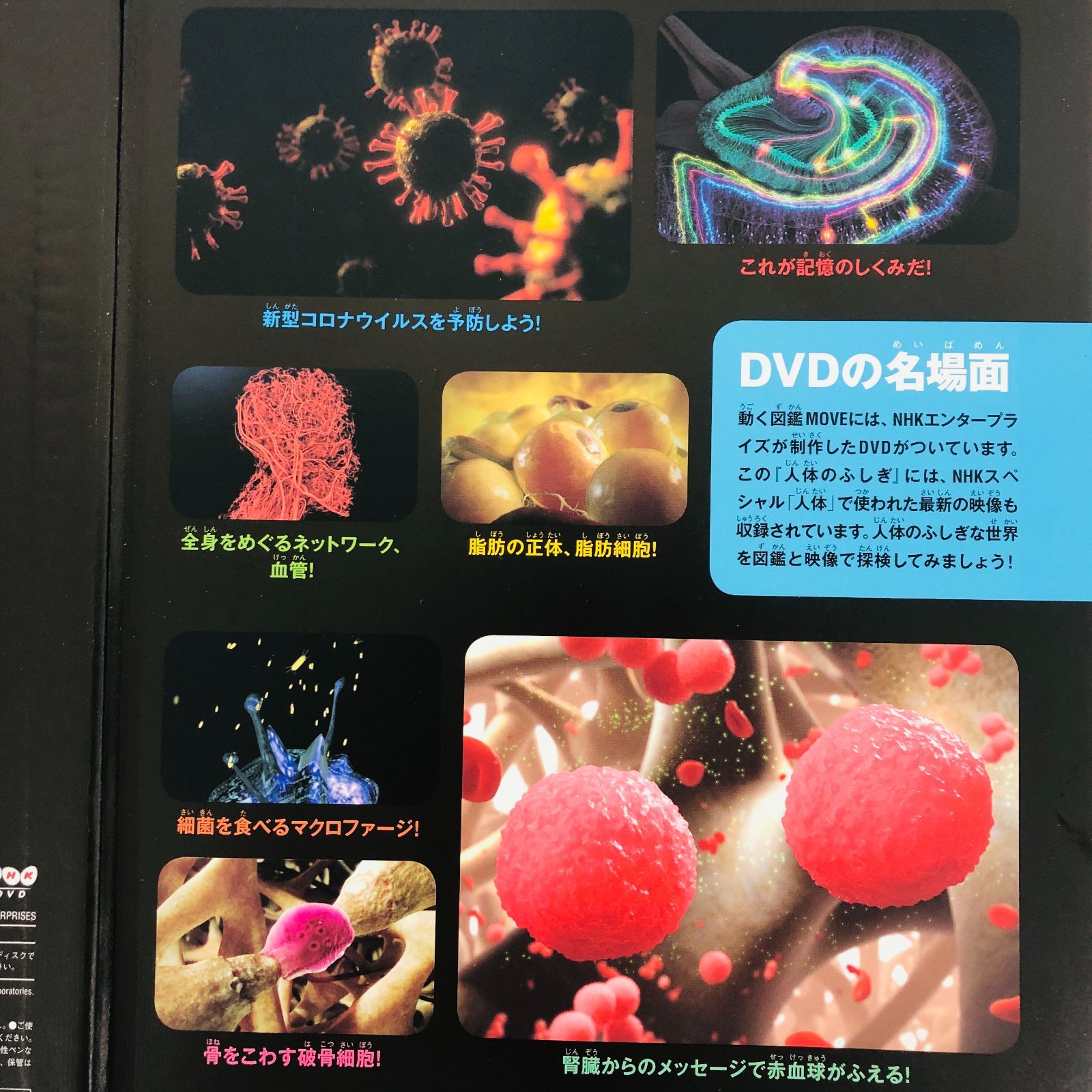 ◇[F]図鑑まとめ売り 12冊 講談社の動く図鑑MOVE DVD9枚付 小学館の