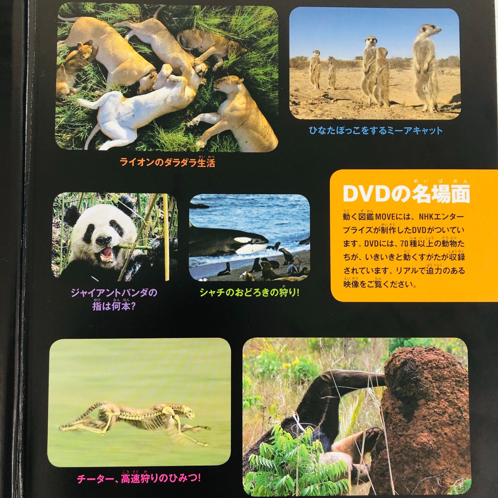 ◇[F]図鑑まとめ売り 12冊 講談社の動く図鑑MOVE DVD9枚付 小学館の