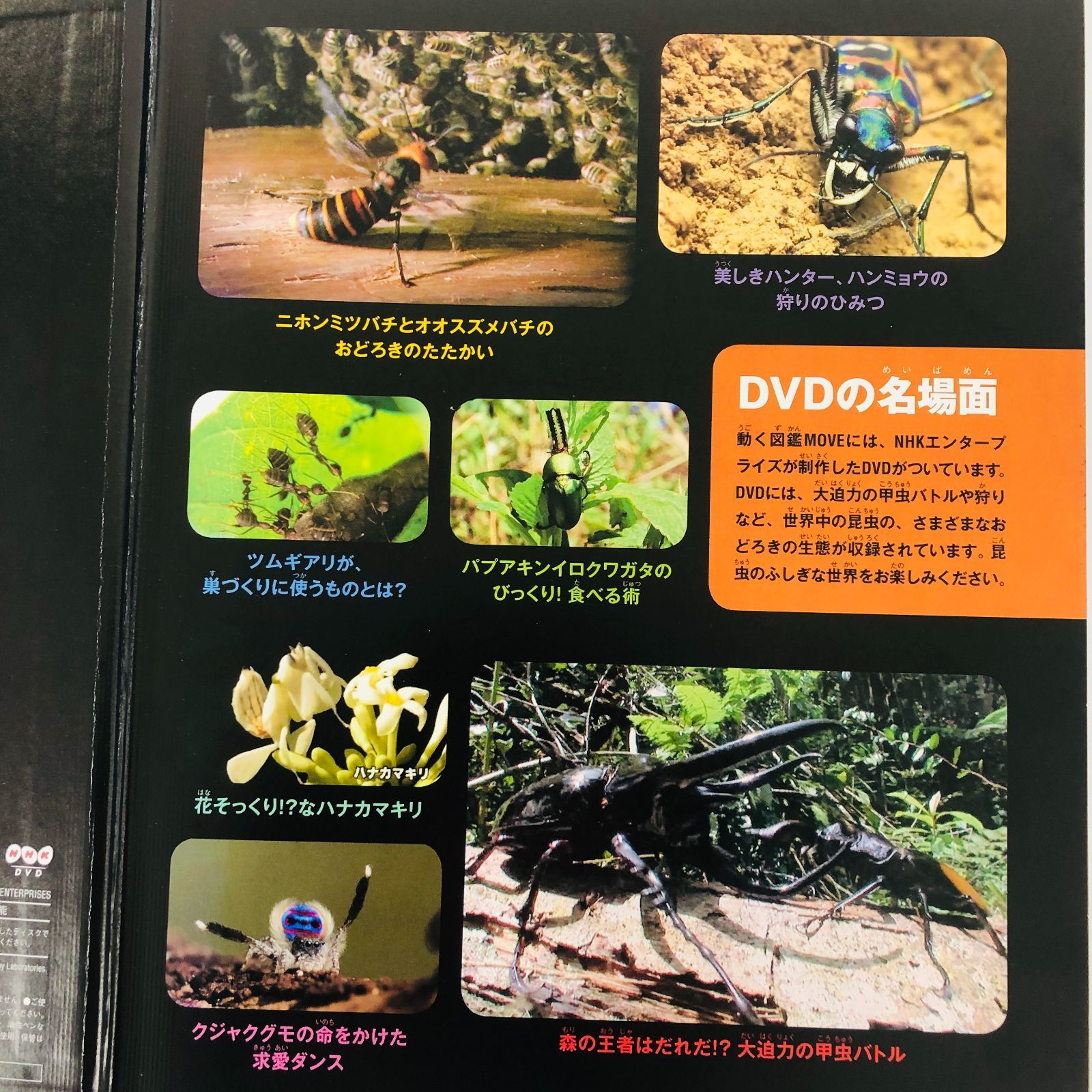 ◇[F]図鑑まとめ売り 12冊 講談社の動く図鑑MOVE DVD9枚付 小学館の