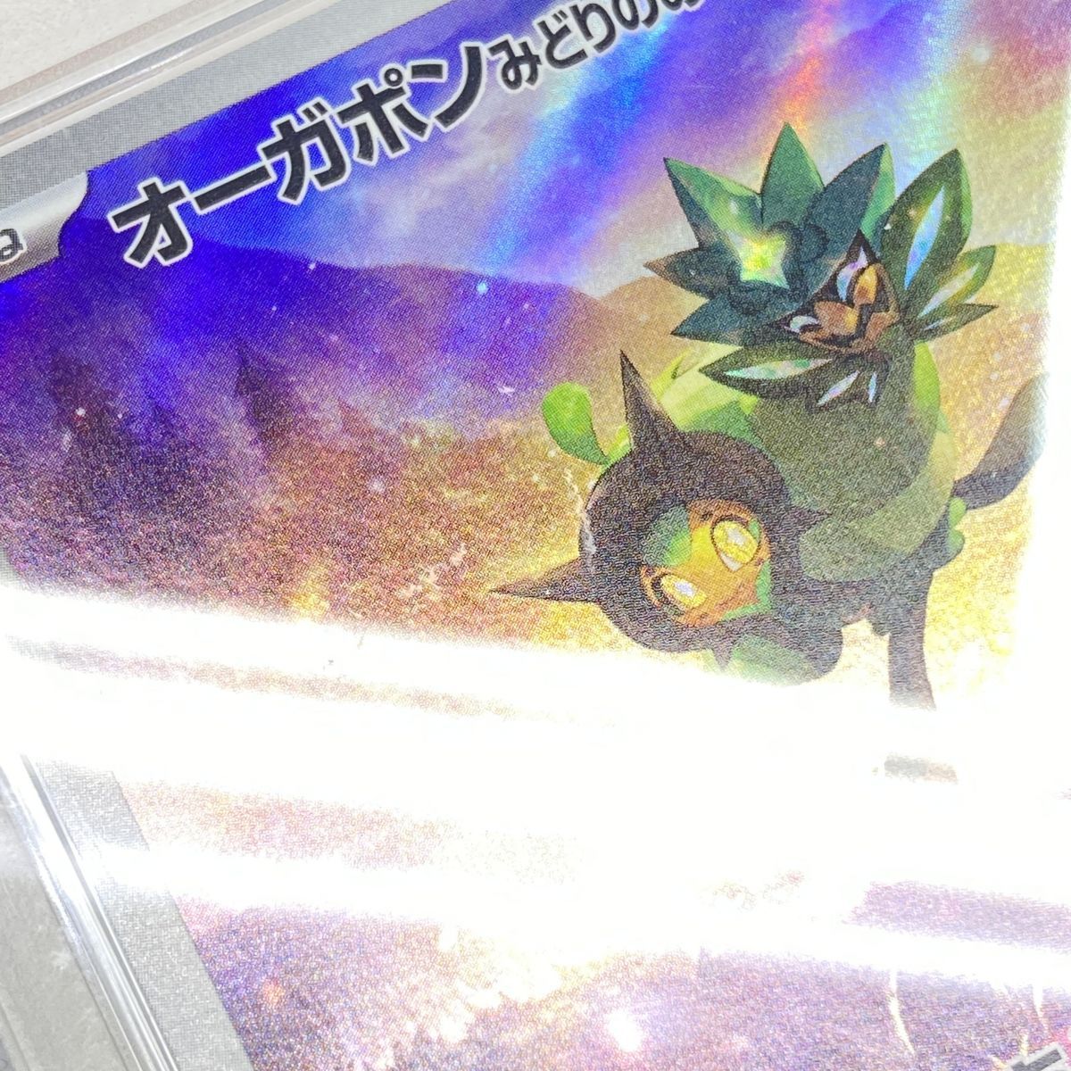 PSA10】ポケモンカード オーガポンみどりのめん 148/SV-P プロモ 鑑定