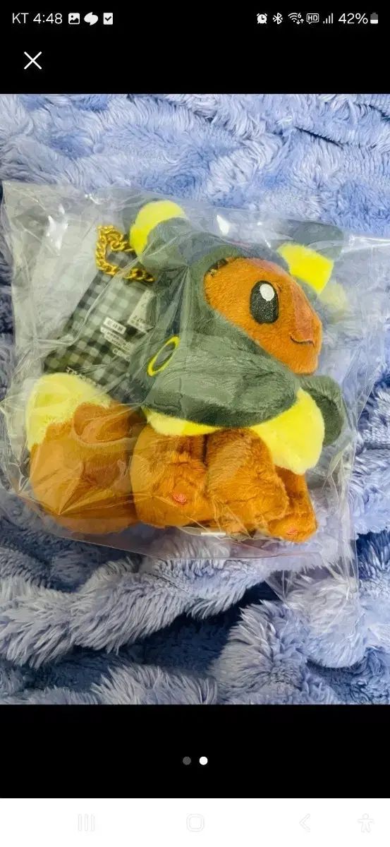 ポケットモンスター ブラッキー ポンチョ イーブイ マスコット ぬいぐるみ