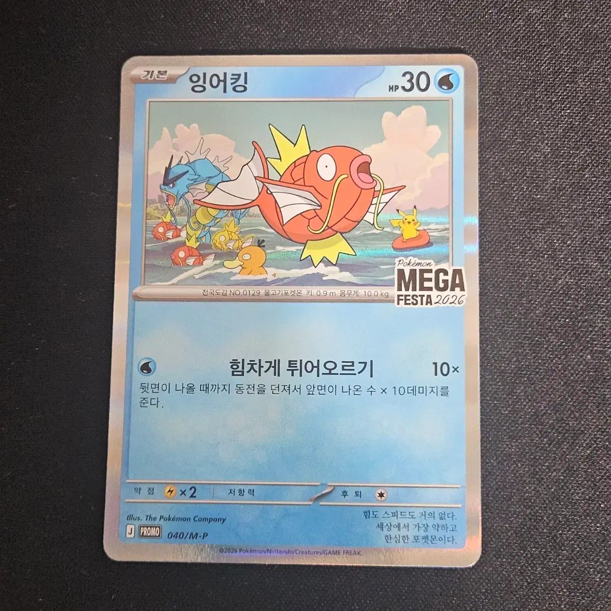 ポケモンカード コイキング MEGAフェスタ プロモ - メルカリ