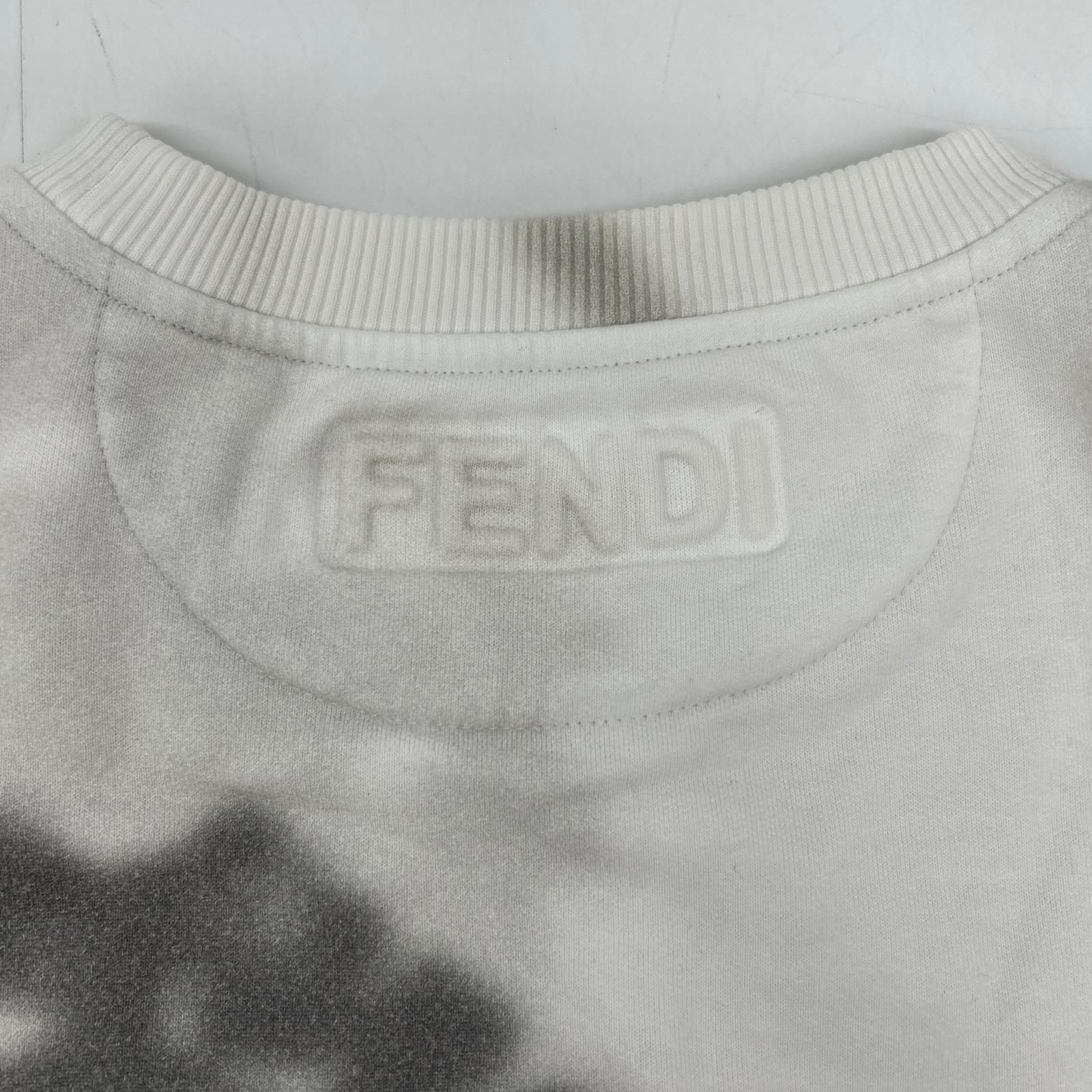 FENDI フェンディ FY0178 AFRA 20年 ロゴ 草木シャドウ転写プリント