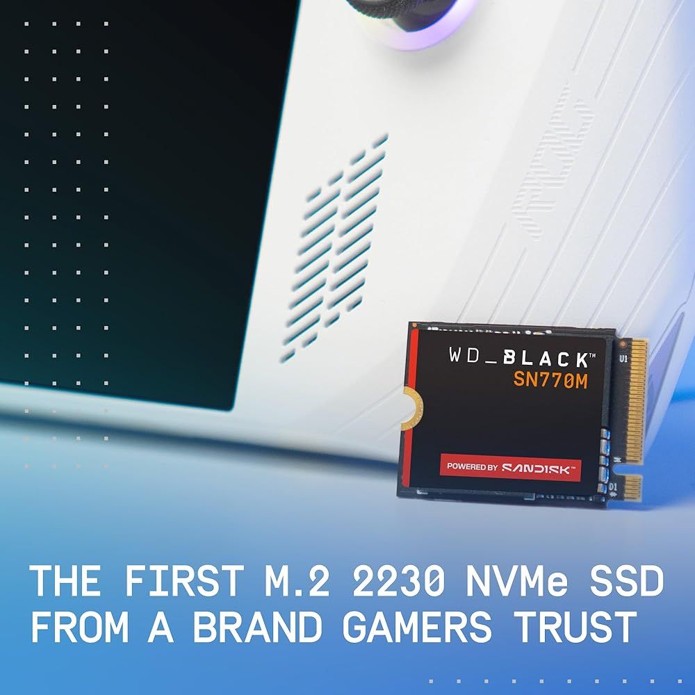 WDS100T3X0G [WD_BLACK SN770M NVMe SSD（1TB M.2(2230) PCIe Gen4 x4 NVMe 600TBW 5年保証）]
