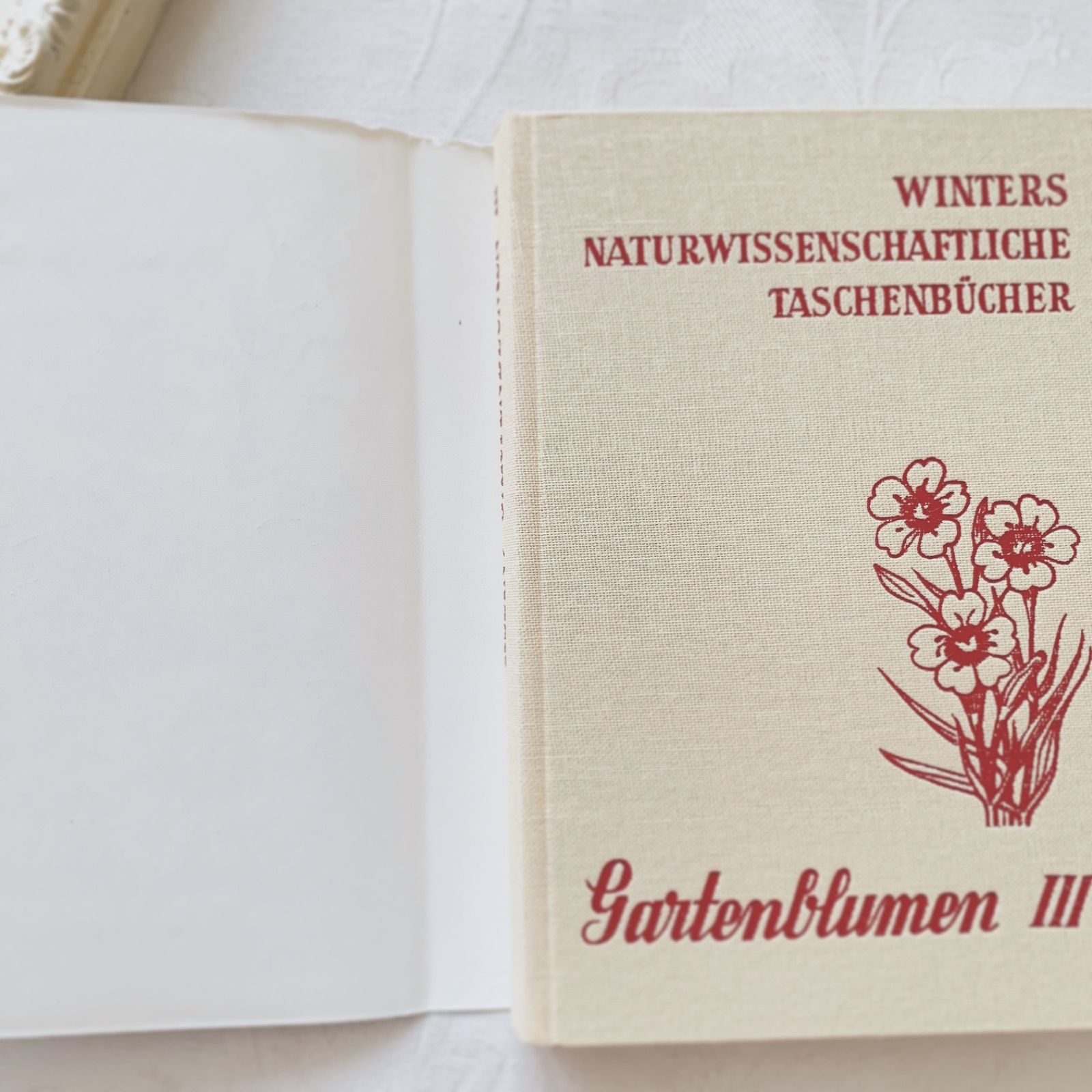 1950s-60s ドイツ 挿画付き「夏〜秋の庭の花」植物図鑑 Garten