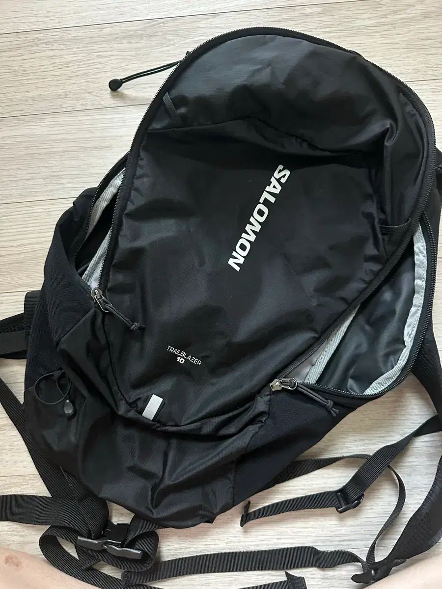 SALOMON サロモン トレイル ブレーザー 10 バックパック