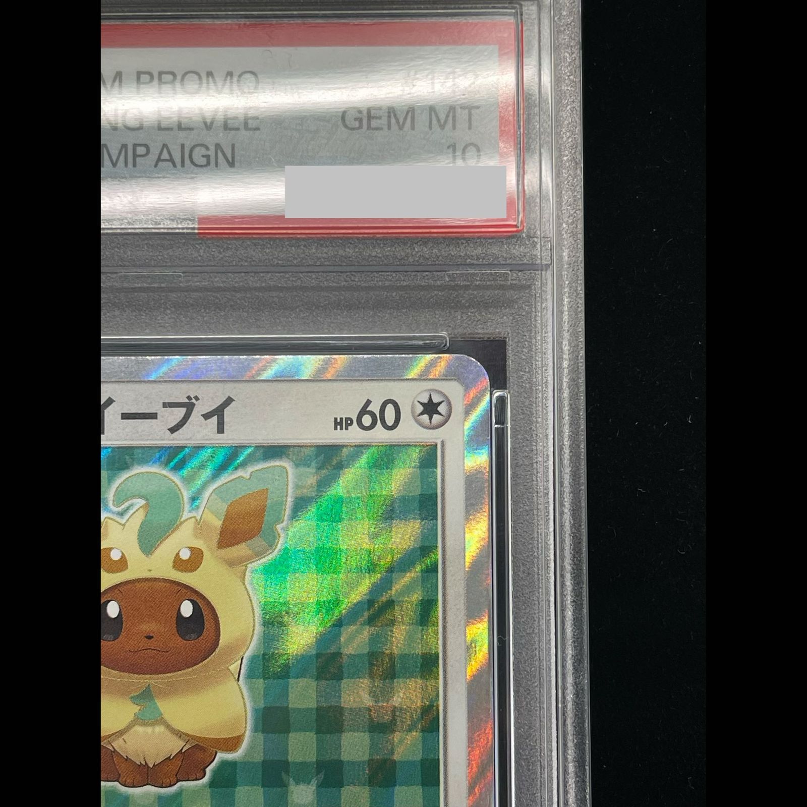 PSA10】ポンチョを着たイーブイ PROMO 142/SM-P 1枚 - メルカリ