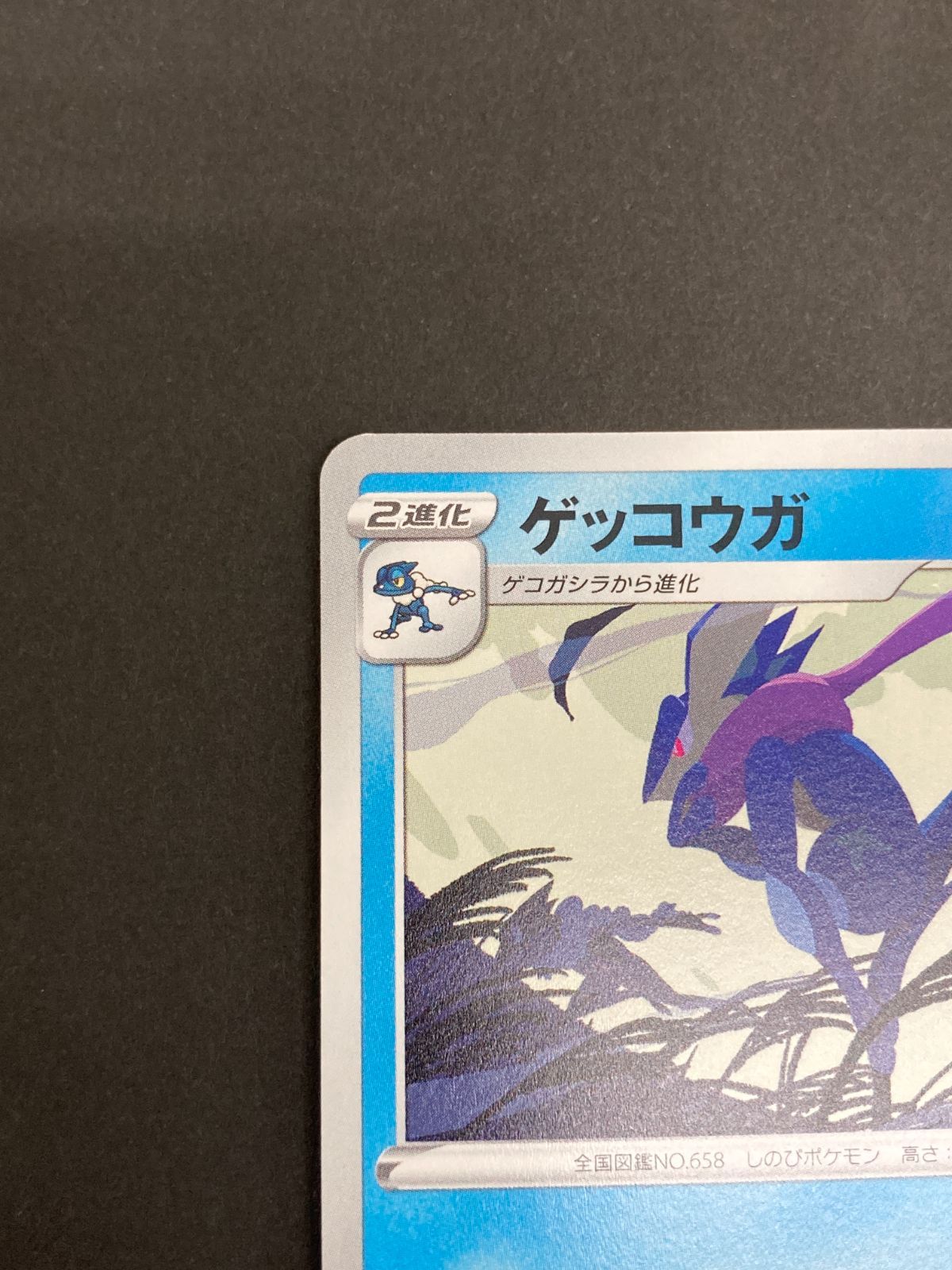 J080[PK]Y8096(カード) ポケモンカードゲーム ゲッコウガ 339/S-P