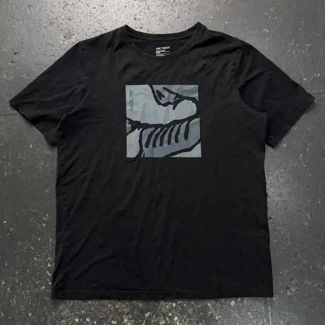 95 ARC'TERYX アークテリクス スケレタイル 半袖Tシャツ