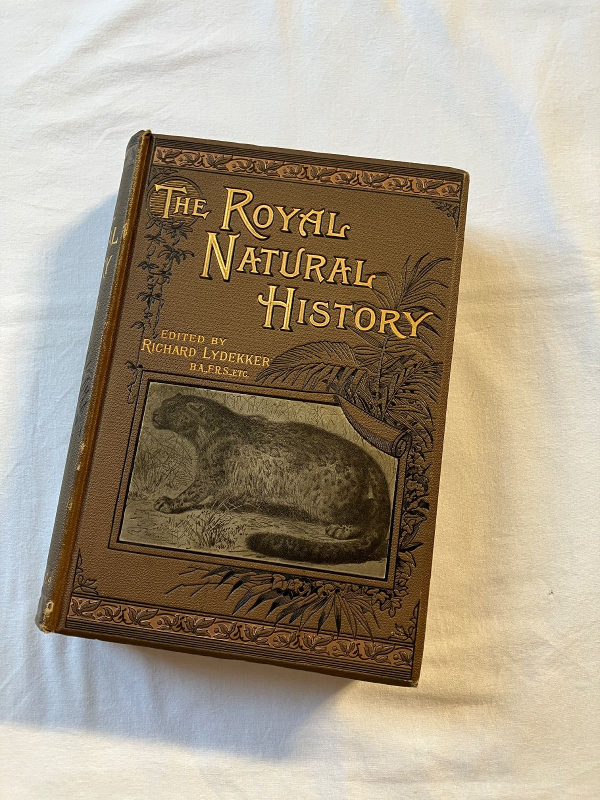 Royal Natural History vol.IV　動物百科事典　鳥類 18,460円