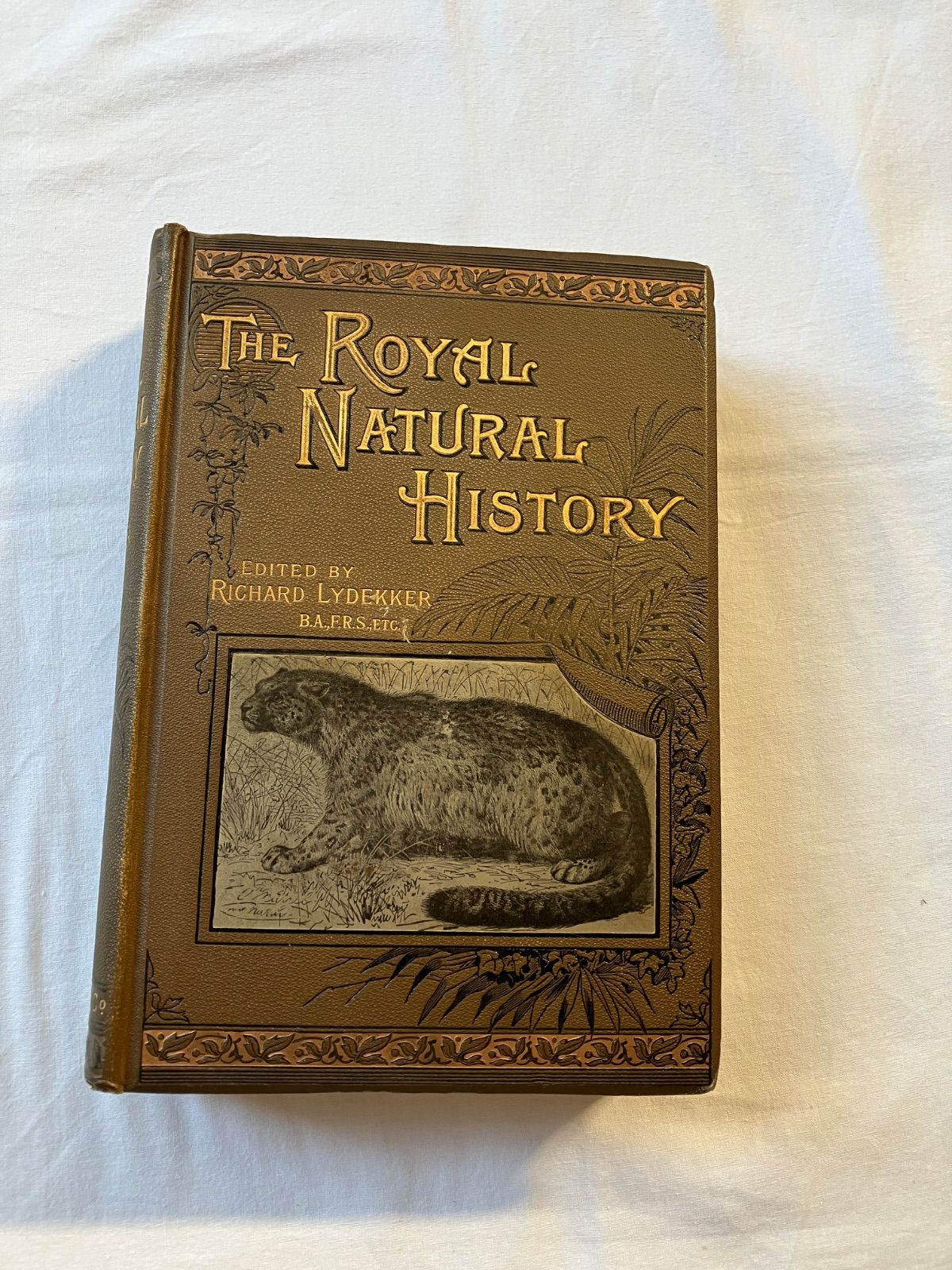 Royal Natural History vol.V　動物百科事典　爬虫類・魚類