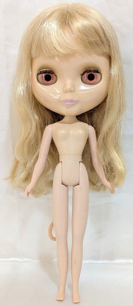 し*ま様 カスタムネオブライス 7 サンデーズベリーベスト デフォルト衣装付き タカラ ネオブライス サンデーズベリーベスト - メルカリ