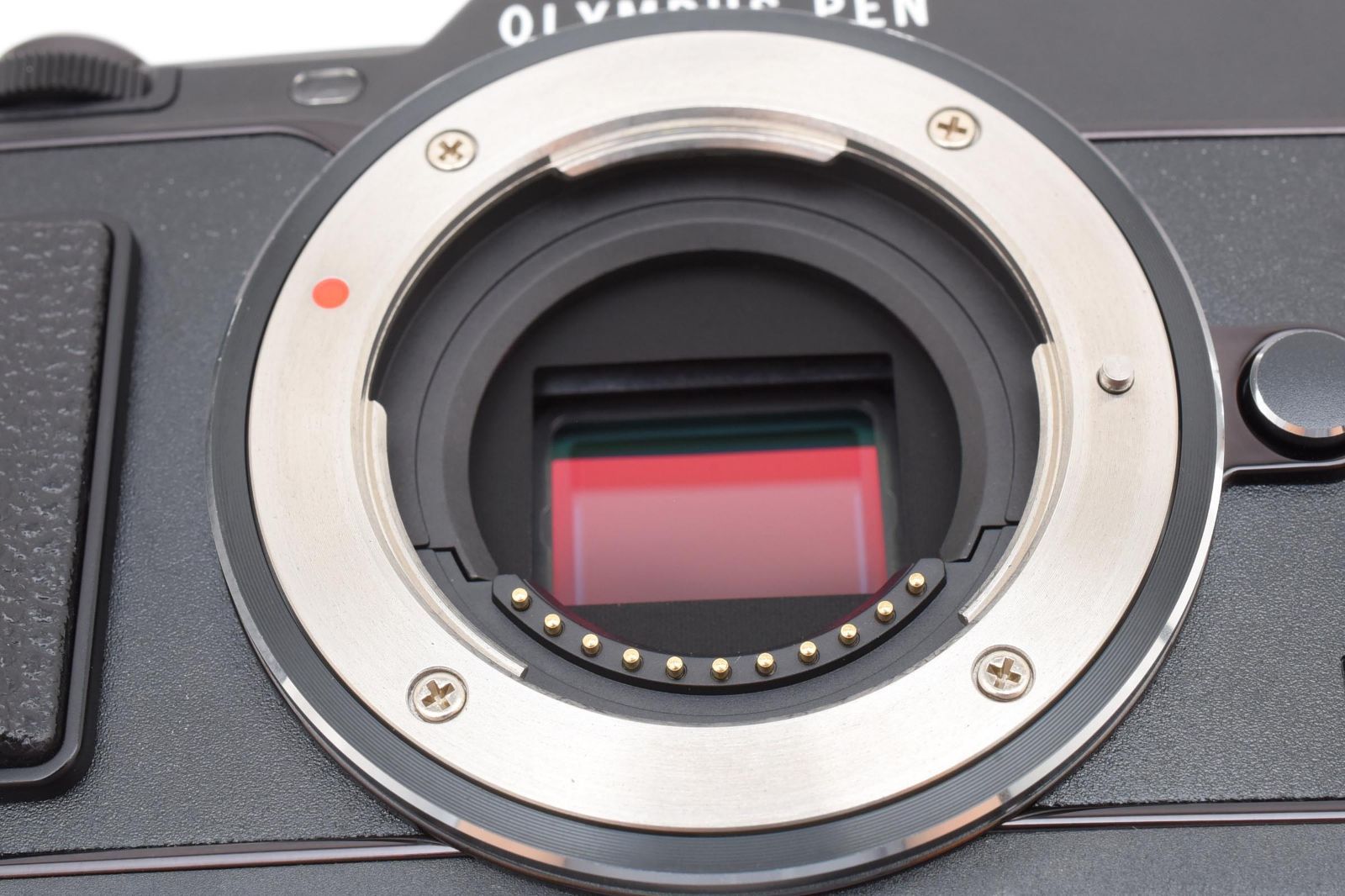 ☆極上美品☆ オリンパス OLYMPUS PEN E-P5 ボディ ブラック