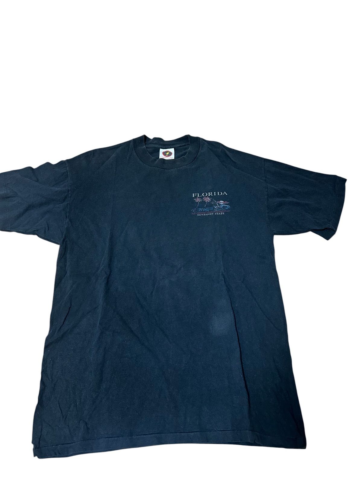 90s Lightning Bolt FLORIDA シングルステッチ Tシャツ ブラック L