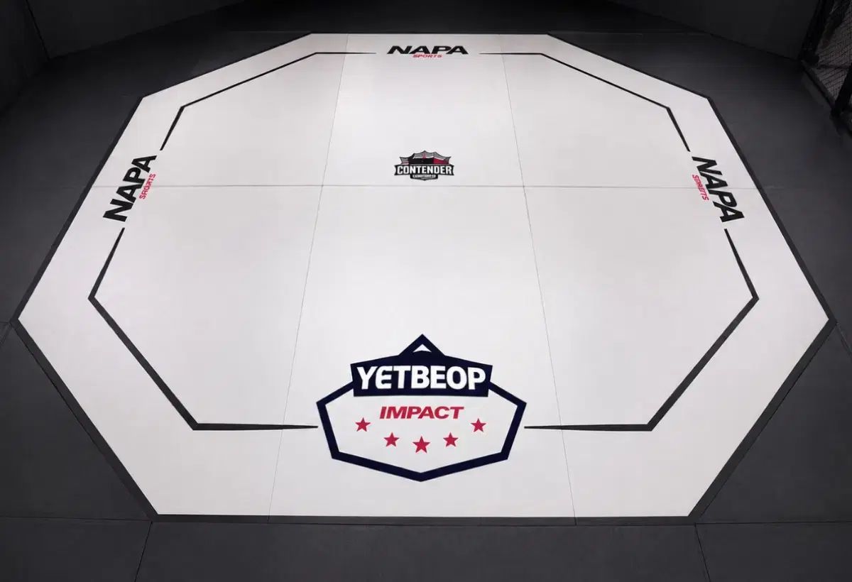 MMA オクタゴン リング マット セット 出品