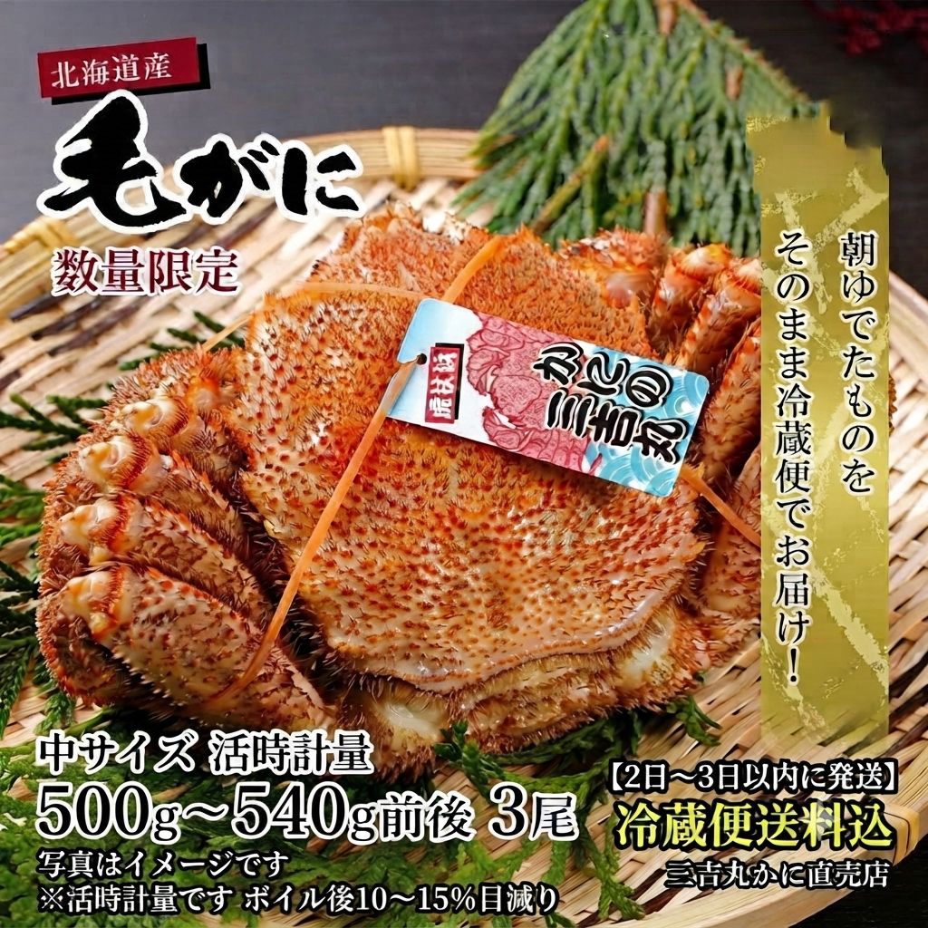 ゆでたて冷蔵便毛ガニ活時500g～540g×3尾北海道産噴火湾・胆振・十勝・日高・稚内