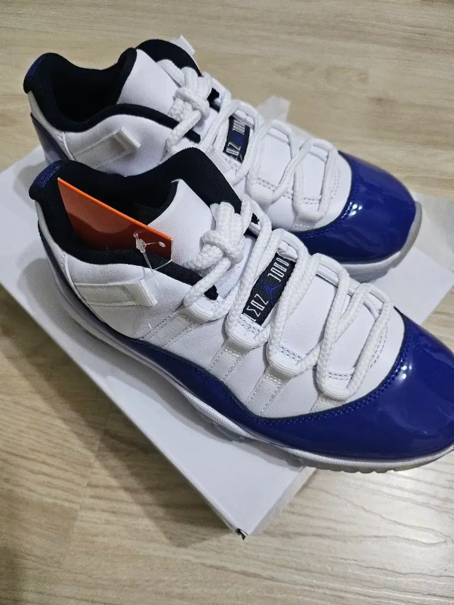 ジョーダン 11 レトロ ロー コンコルド