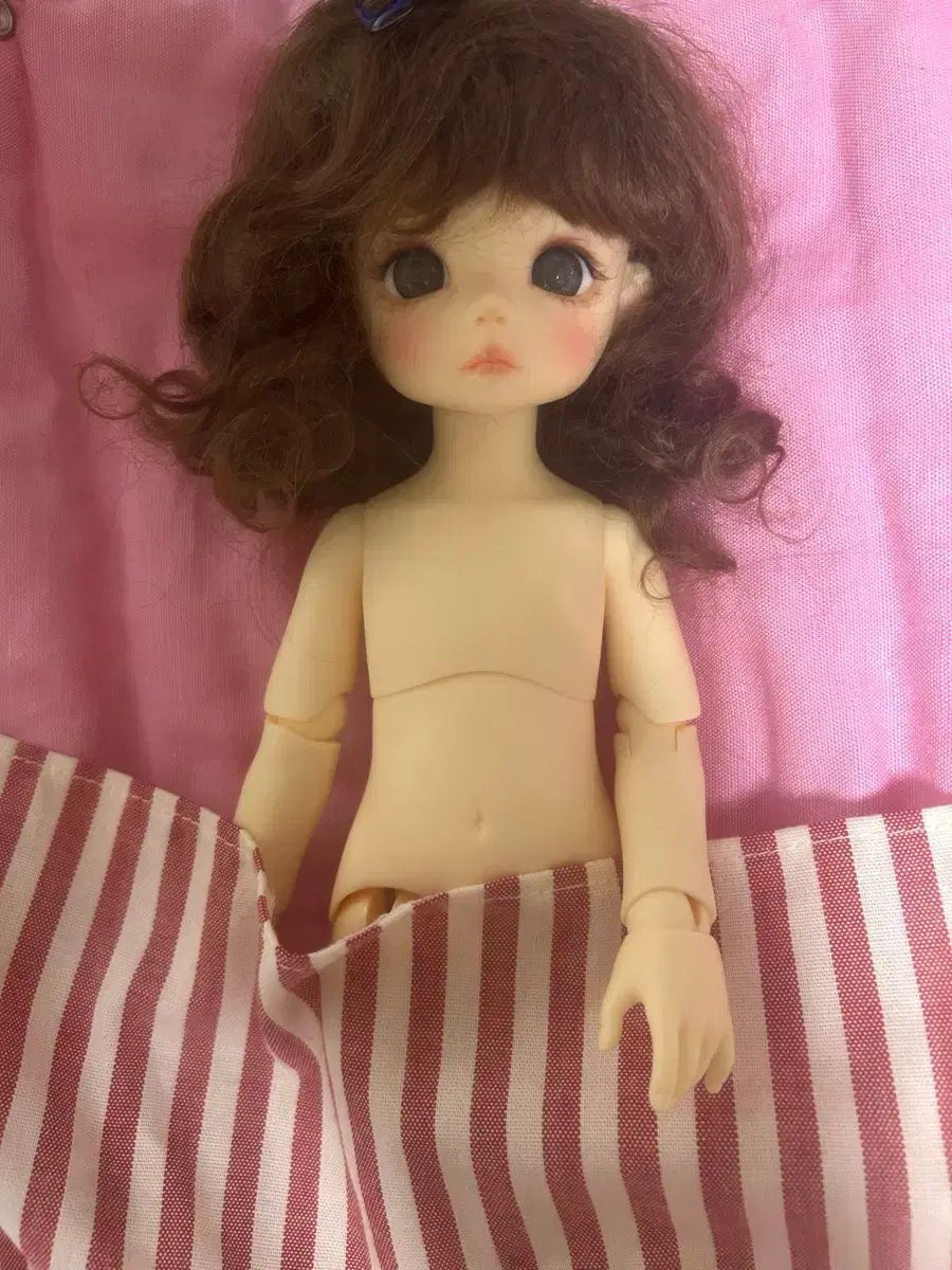 TTYA ぬいぐるみ