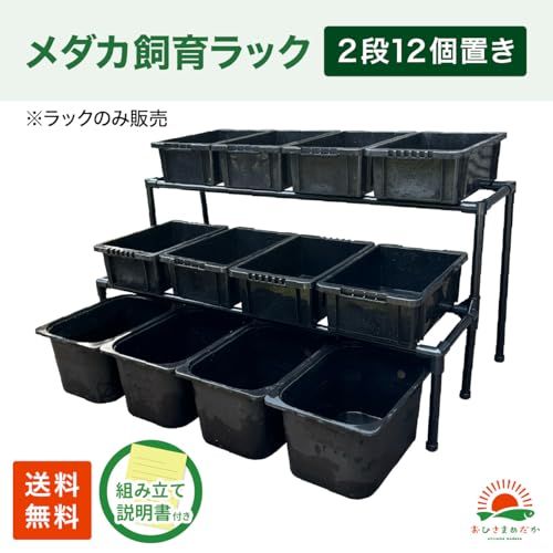 メダカ飼育ラック ブラック メダカ棚 2段12個置き NVBOX13 NVBOX22 トロファスト対応 屋外用 飼育棚 日本製 高耐久 ビオトープ 水槽ラック ベランダ メダカケースpms fd630439