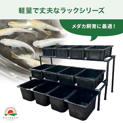 メダカ飼育ラック ブラック メダカ棚 2段12個置き NVBOX13 NVBOX22 トロファスト対応 屋外用 飼育棚 日本製 高耐久 ビオトープ 水槽ラック ベランダ メダカケースpms fd630439