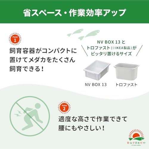 メダカ飼育ラック ブラック メダカ棚 2段12個置き NVBOX13 NVBOX22 トロファスト対応 屋外用 飼育棚 日本製 高耐久 ビオトープ 水槽ラック ベランダ メダカケースpms fd630439