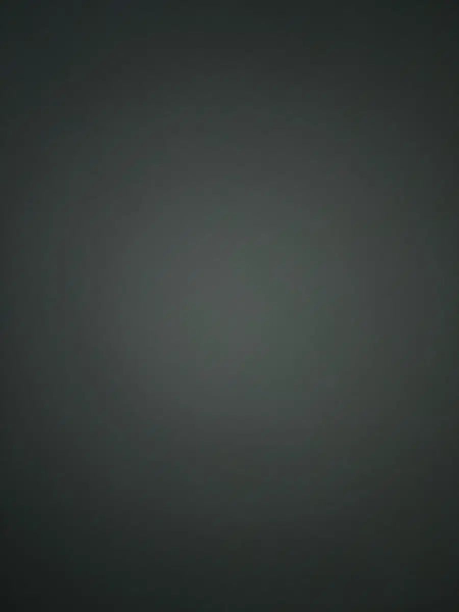 メッシュ 半袖