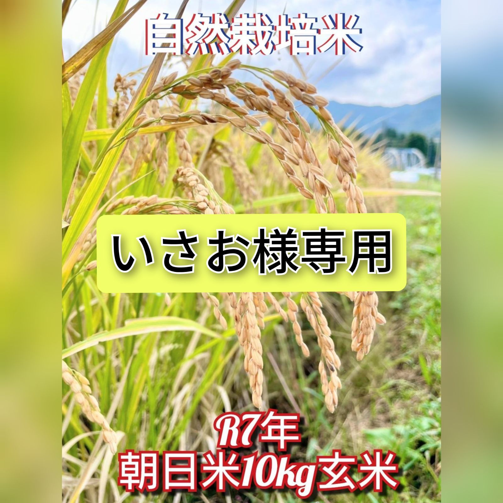 R7年産】朝日米10kg 玄米 自然栽培米（益城産）- メルカリ