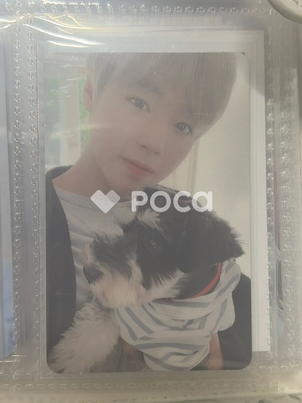 パク・ジフン パク・ジフン PARK JIHOON 2020 SEASONS GREETINGS