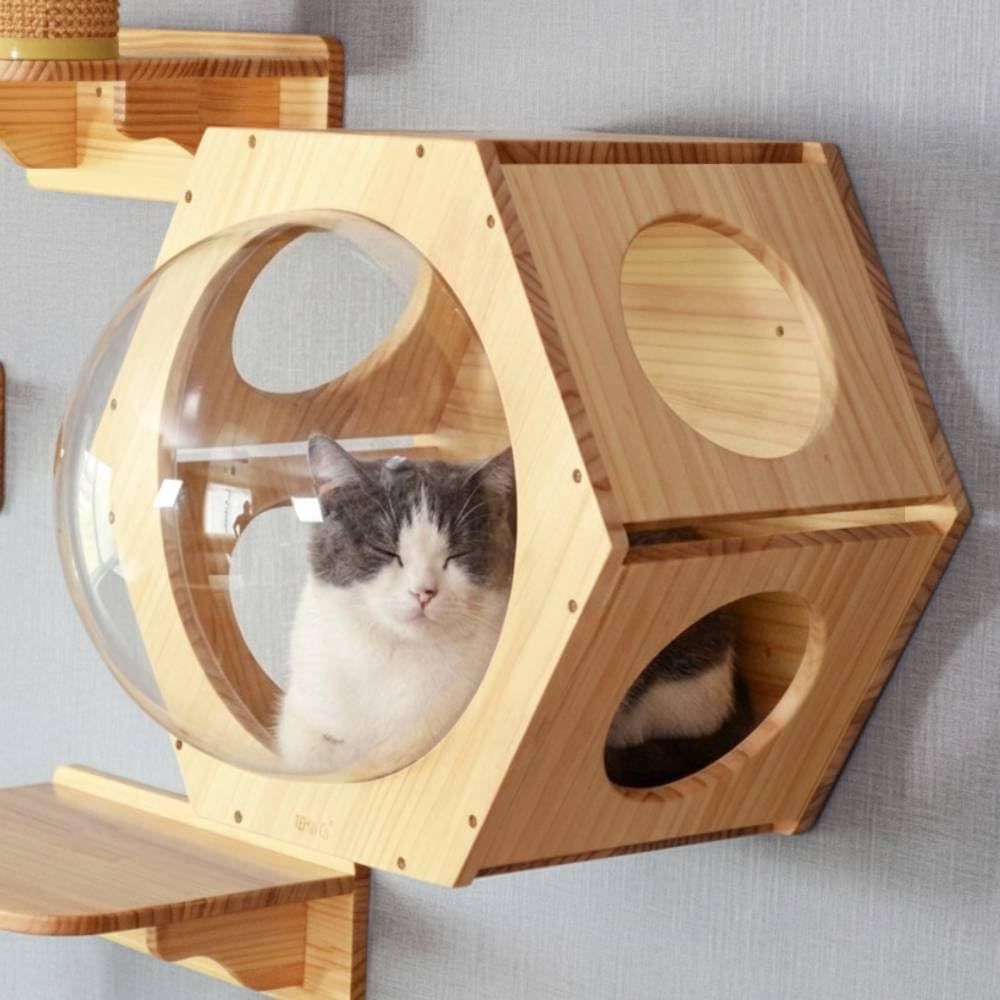 Bonarca キャットウォーク 壁 キャットステップ カプセル 透明 幅51cm×高さ45cm 木製 アクリル ボウル 猫 宇宙船 単品 ネコ ステップ おしゃれ 棚 耐荷重 20kg 天然木 猫ハウス 窓 六角形 ヘキサゴンmt c9d79d1b 7,427円