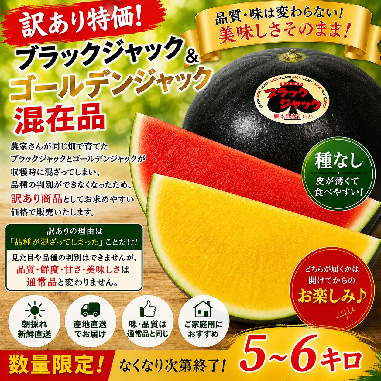 訳あり特価！ブラックジャック・ゴールデンジャック混在 - メルカリ