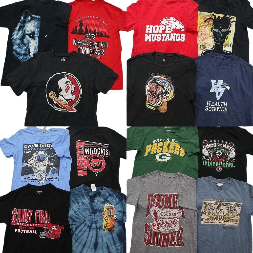古着卸 まとめ売り プリント Tシャツ 15枚セット ( メンズ S ) アニマル 動物 プロチーム NFL タイダイ柄 中古 古着 NF8040