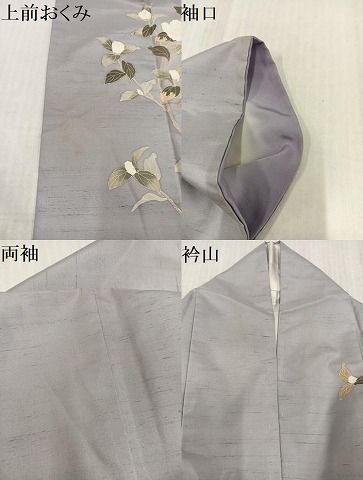 平和屋着物○白山紬 訪問着 友禅 作家物 枝花文 ロング丈 正絹 逸品