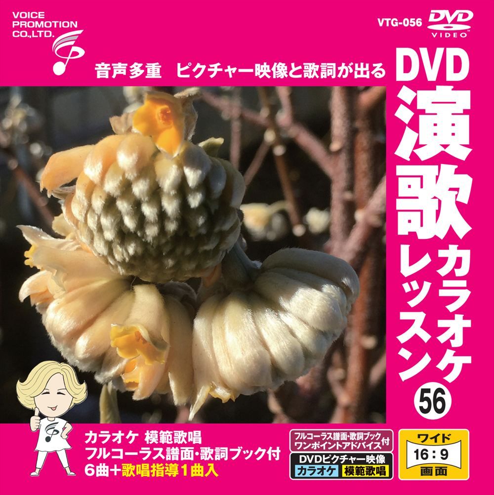新品 DVD演歌カラオケレッスン56 / (DVD) VTG-056 - メルカリ