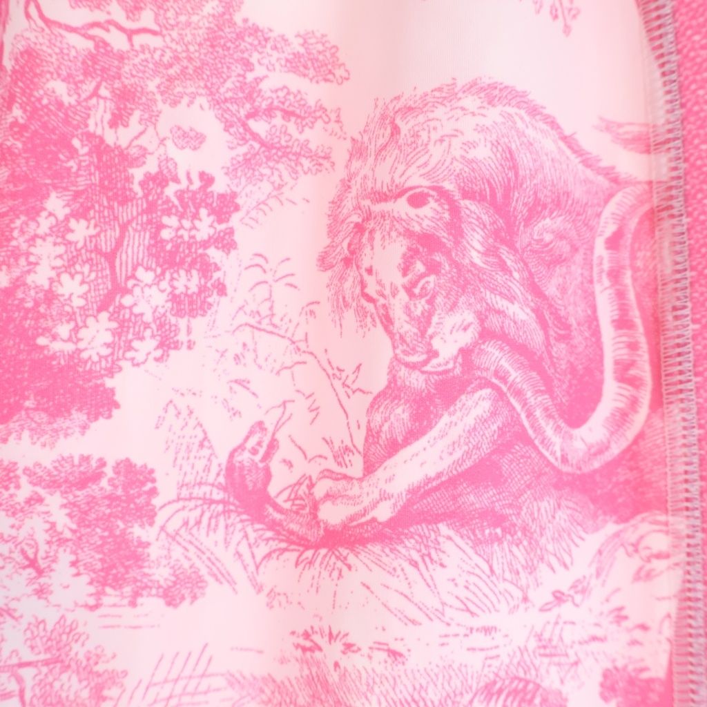 Christian Dior (クリスチャンディオール) Toile de Jouy